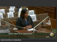Cynthia testifies at a committee hearing at the Texas legislature